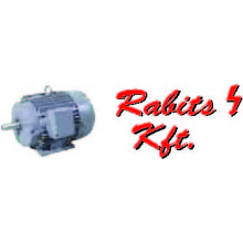 Rabits Kft. Sopron Motortekercselés, villanymotor forgalmazás. Elektromotoren reparatur Wicklung,