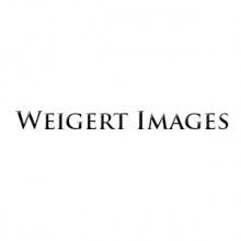 Weigert Images esküvői fotózás