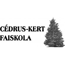 Cédrus-Kert Faiskola