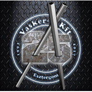 VASKER-X Kft. Csavarbolt Esztergom logó, embléma